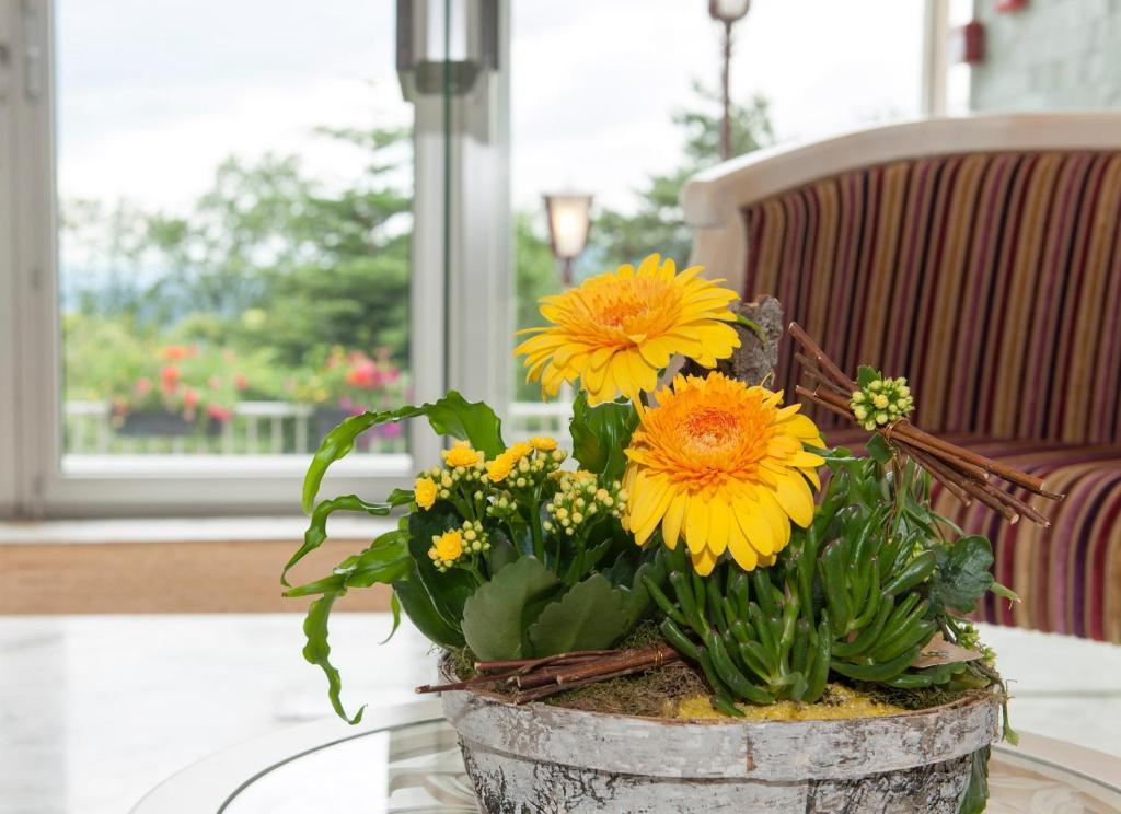 Alexain Hotel Restaurant & Wellness - Colmar Ouest Trois-Epis Ngoại thất bức ảnh